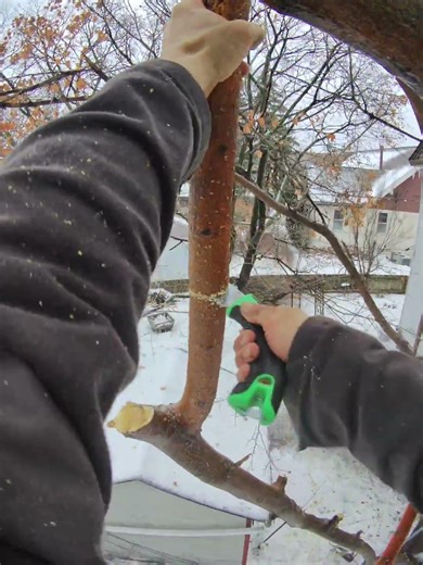 NEVER CLIMB A TREE WHEN IT JUST RAINED AND FROZE 😭 #tree #please #minecraft #game #play #danger #you