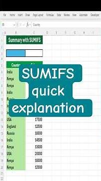 Excel SUMIFS Formula - Sum with Single or Multiple Criteria (Beginner to Pro + Examples!)
