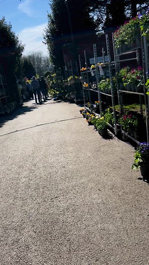 Heaton Park Garden Centre #flowers #gardencentre #nature #flowerbaskets #followers @highlights | Juliet Alarcon Jones
