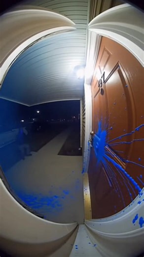 You’re NOT ready for what happens at the end… I literally had to REWATCH it three times 😭🔥 Do 👏 NOT 👏 blink 👏 or you’ll miss EVERYTHING. #WaitForIt #CaughtOnCamera #NoWayThisIsReal #OMGMoment #MustWatch #DoorbellDrama #InstantRegret #ViralClip #USATrending #WildFootage | Oops Happens