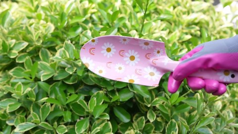 WORKPRO Aluminum Garden Tool Set, 4PCS Heavy Duty Hand Garden Tools with Box Include Trowel, Rake, Pruner, Garden Gloves, Blue Floral, Garden Gifts