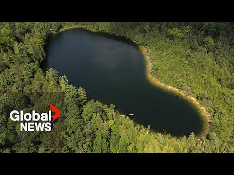 Anthropocene: Lake in Canada marks human-altering epoch of Earth's history