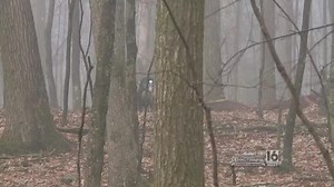 Father and Son Spring Gobbler Hunt