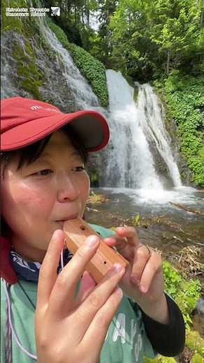 清里町の秘境 #男鹿の滝 #清里町 #ガイドツアー #ネイチャーガイド #森のくまさん