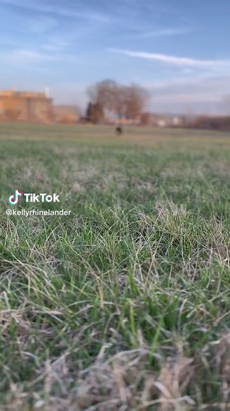 Kelly Shores on TikTok