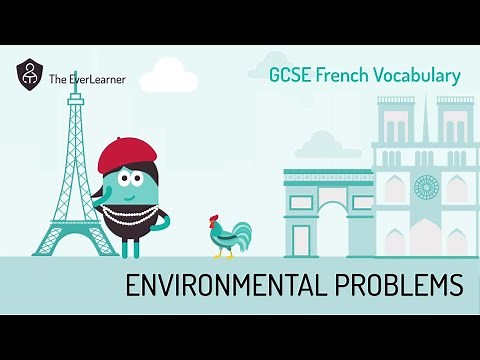 GCSE French: Environmental problems