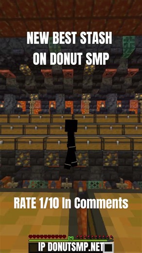 New Best Stash On DonutSMP. . . . #donutsmp #minecraft #drdonut