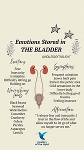 In Traditional Chinese Medicine (TCM), the Bladder is closely associated with the Kidneys and plays a role in emotional storage and release. It is particularly linked to emotions such as fear, anxiety, and insecurity. When the Bladder’s energy (Qi) is imbalanced, these emotions can become stored, leading to physical and emotional symptoms. Emotions Stored in the Bladder ✔️ Fear: Deep-seated fear or feelings of being unsafe. ✔️ Insecurity: A lack of trust in oneself or one’s environment. ✔️ Irrit