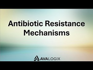 Antibiotic Resistance Mechanisms