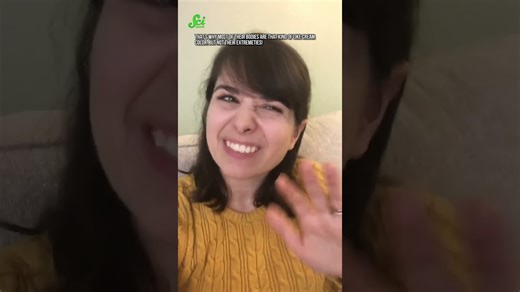 Siamese cats are mutants #shorts #science #SciShow