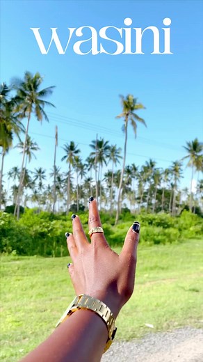 22K views · 490 reactions | Watching the dolphins never gets old珞 & you just can’t vacay without an excursion day For booking/planning of your vacation with URBANN VACATIONScall  0700920606 or 0748045045.#wasini #diani #tembeakenya #travel #vacation | Kush Tracey Kenya | Facebook