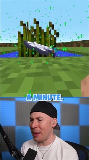 "compliment" = praise, "complement" = completes/enhances