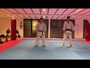EJEMPLO EXAMEN 3 DAN KARATE (2025)