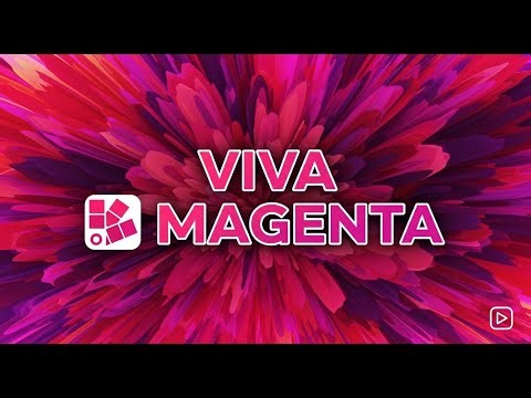 Viva Magenta | A Motion Graphics Journey into #BE3455