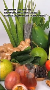 เครื่องดื่มน้ำหมักสุขภาพ "คิวามิ" (Harmony Life Enzyme Drink "KIWAMI") 250ml.*12 ขวด | Lazada.co.th