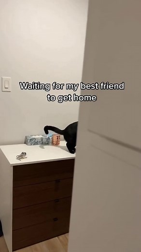 best scaring reaction #best #scaring #funny #scared #reaction #viralvideo