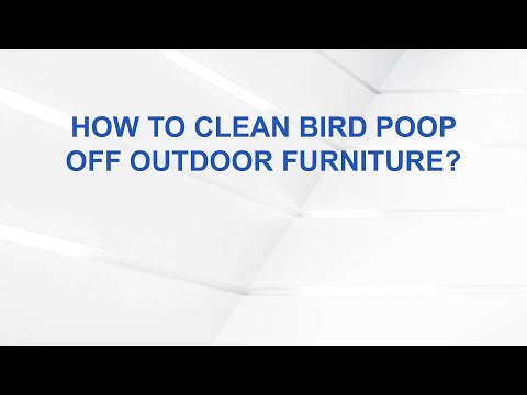 How to clean bird poop off outdoor furniture?