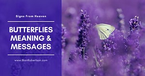 Butterfly Meaning: Spiritual Messengers From Heaven? – Healing, Spirit & Grief Support