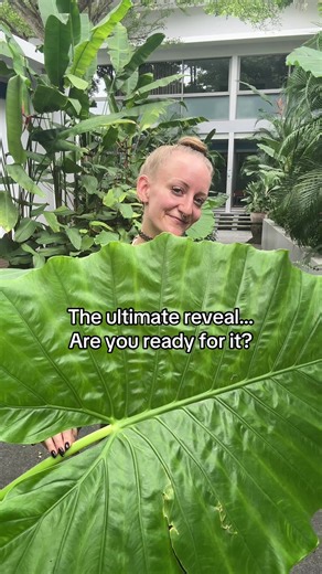 Tattoo Magic Reveal: Discover Eule Emma's Artistry