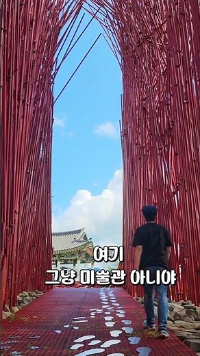 꼭 가봐야할 인생샷 명소 영월 젊은달와이파크 #강원도여행 #영월가볼만한곳 #젊은달와이파크