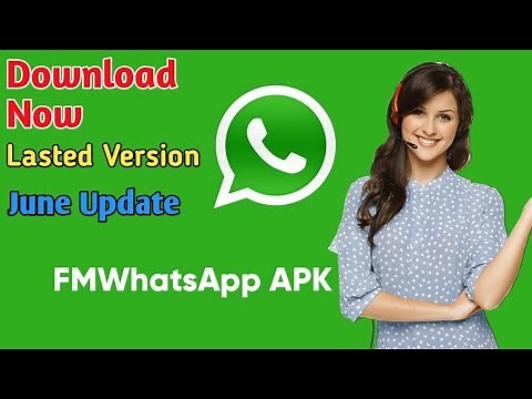 How To Download FM WhatsApp ApK| How To Download FM WhatsApp Lasted Version