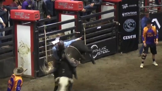 5K views · 388 reactions | Chance Schott came to the Badlands Circuit Finals on a mission, winning the average and putting up the highest score with an 88.5-point ride. | PRCA ProRodeo | Facebook