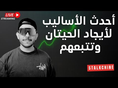 أحدث أساليب تتبع الحيتان وكل ماتريد معرفته