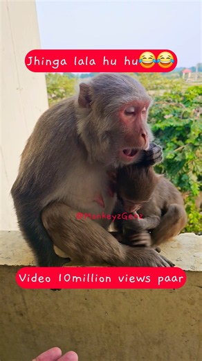 Jhinga lala huhu😂 #comedy #song #gaming #trending​ #dance​ #viral #tamil #funny #godur #shorts #love