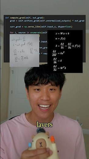 Creating a Neural Network from Scratch! (Day 17/30 of ML)