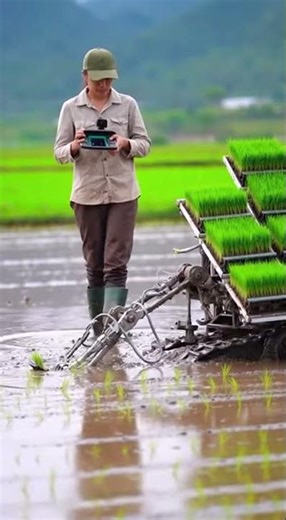 Super Advanced Robotic Rice Planting Machine Revolutionizes Farming Fast
