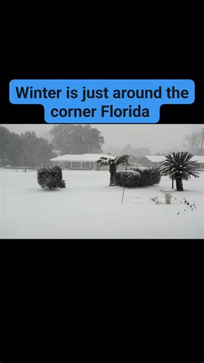 Mark Schultz on Reels