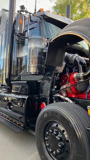 Ryker montague on TikTok