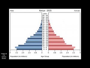 Demographic Indicators and Population Pyramids: Kenya