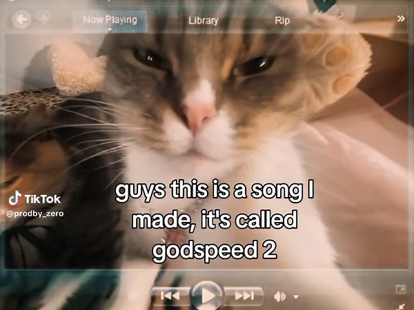 Discover the Meaning Behind 'Godspeed 2'