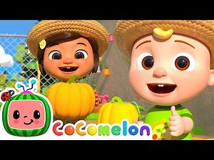 The Gardening Song 🥕🍅🍄‍🟫 CoComelon | Nursery Rhymes for Babies