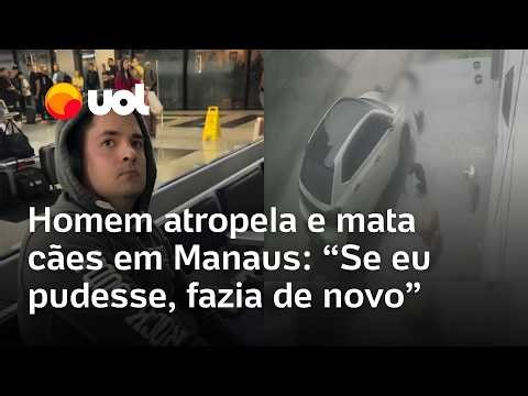 Man drives car onto sidewalk and runs over dogs in Manaus.