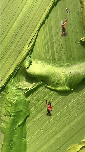 Insane work from Werner Bronkhorst & LN4 ✨