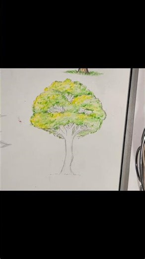 comment dessiner un arbre 🌲avec des crayons de couleur( how to draw trees) #art #drawing