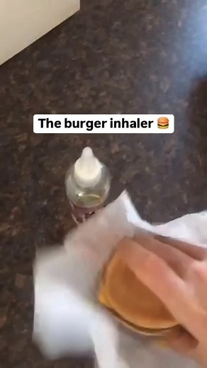 The way he just absorbed that burger Credit: @lab_the_inhaler | I Love Labra