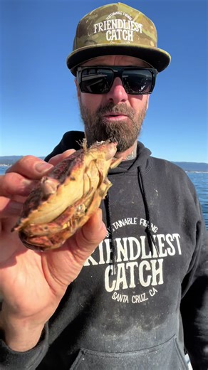 Exploring the Friendliest Catch in Barnacle Chronicles