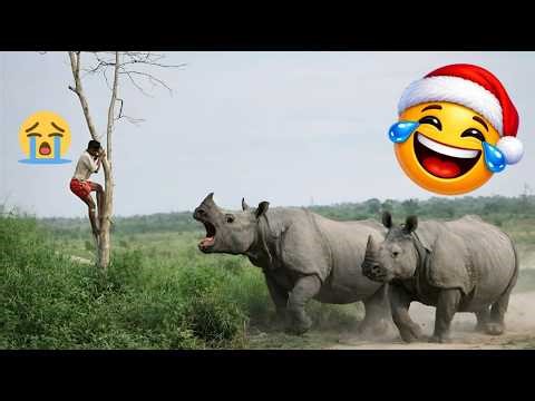 You Laugh = You Lose 😈 | Hardest Try Not To Laugh