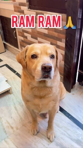 Anant Rastogi on Instagram: "Day 1/75 hard challenge😂 RAM RAM SAREYANE🙏 #reelitfeelit #explore"