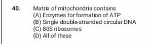 Matrix of mitochondria contains(A) Enzymes for formation of AT... | Filo