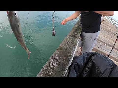 Nags Head (NC) Pier fishing