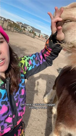 I made an alpha gal video but if you’re not interested here’s Nugget