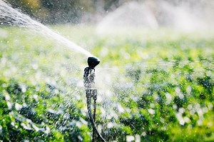 Water for Agriculture | Penn State Extension
