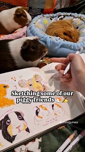 Drawing some piggies! 💖🎨 One of my new year aims is to use my sketchbook more and I'd love to make this into a series if people like it? I find piggies quite hard to draw so it would be fun to practice them more! 🐹 The lovely piggies: @crystalcitycavies @little_kingdom3 @fortheloveof_guineapigs @piggymom_ginger_toffy Chlo’s Piggies #guineapigs #cutepets #guineapigart #pets #art #furbabies #guineapiglove #funnypets #petart #sketching #newyearresolutions | Ohmyguinea