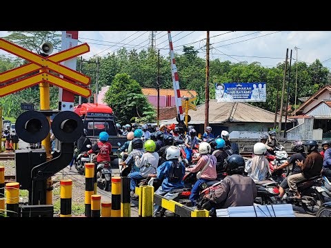 LIVE 🚆 Busy Railroad Crossing | Trains Passing Every Minute ‼️