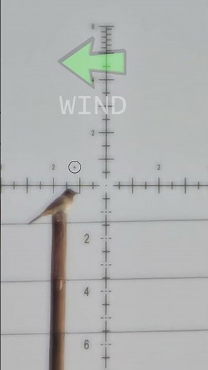Mastering the wind | FX DRS MKII Classic #fxairguns #elementoptics #hunting