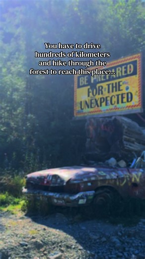 One of the best wild camping spots on Vancouver Island 🌿 📍 San Josef Bay Drive from Victoria — about 560 km (6.5–7 hours). From Nanaimo — about 450 km (5–5.5 hours). Near Port Hardy turn onto Holberg Road and drive about 65–70 km of gravel road to the parking lot. From the parking lot it’s a 2.5 km hike (about 40 minutes) through the forest to the beach. ⚠️ Don’t bring too much gear — you’ll need to carry everything to the beach. 🚗 Also make sure you have a spare tire and a reliable vehicle, 